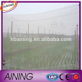 High quality and lowest price plastic prevent insect netting